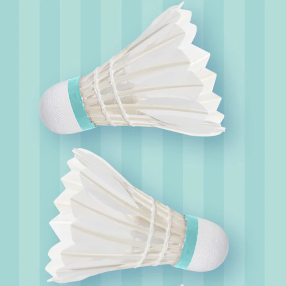 Officially Licensed Hatsune Miku Goose Feather Shuttlecock Set (Pack of 10) - Image 5